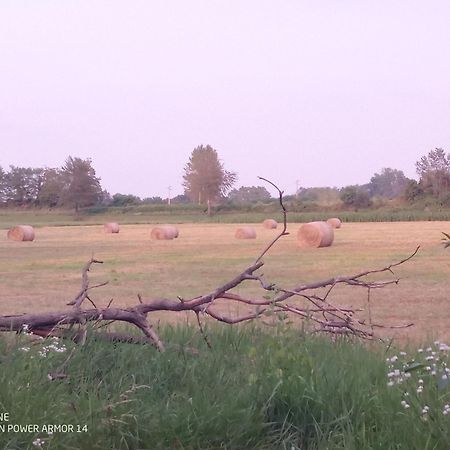 Готель Bugygattolo Boves Екстер'єр фото